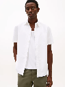 Half Sleeves Shirts